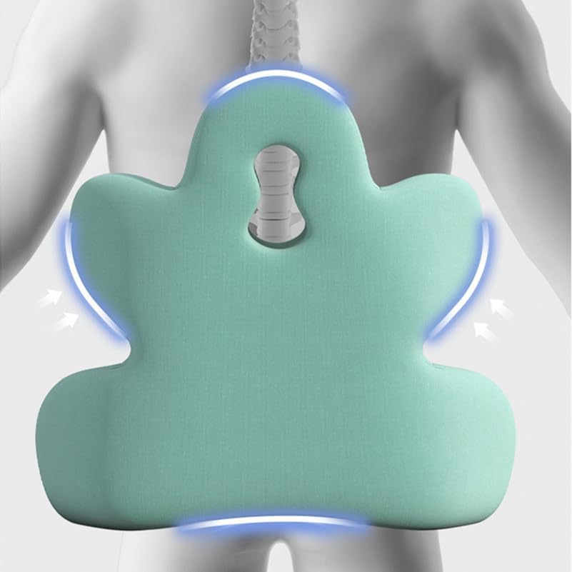 Lumbar Support Pillow for Office Chair, Back Pillow Lumbar Support for Car, Chair, Sofa - Improve Lower Back Pain Relief & Sitting Posture, Memory Foam Back Cushion for Long Sitting (Blue-01)