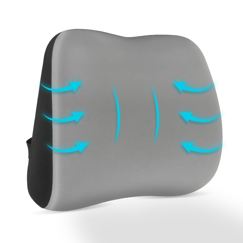 Lumbar Support Pillow for Office Chair, Memory Foam Lumbar Pillow for Lower Back Pain Relief (Grey)
