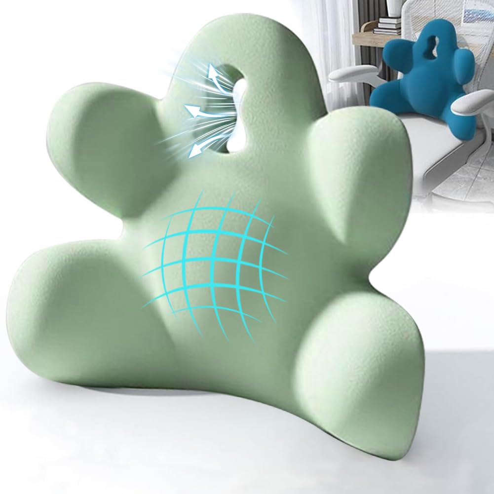 Lumbar Support Pillow for Office Chair, Back Pillow Lumbar Support for Car, Chair, Sofa - Improve Lower Back Pain Relief & Sitting Posture, Memory Foam Back Cushion for Long Sitting (Blue-01)