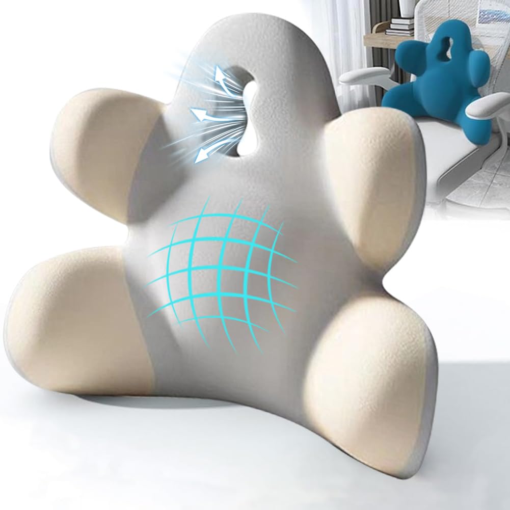 Lumbar Support Pillow for Office Chair, Back Pillow Lumbar Support for Car, Chair, Sofa - Improve Lower Back Pain Relief & Sitting Posture, Memory Foam Back Cushion for Long Sitting (Blue-01)