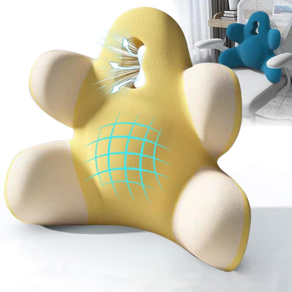 Lumbar Support Pillow for Office Chair, Back Pillow Lumbar Support for Car, Chair, Sofa - Improve Lower Back Pain Relief & Sitting Posture, Memory Foam Back Cushion for Long Sitting (Blue-01)