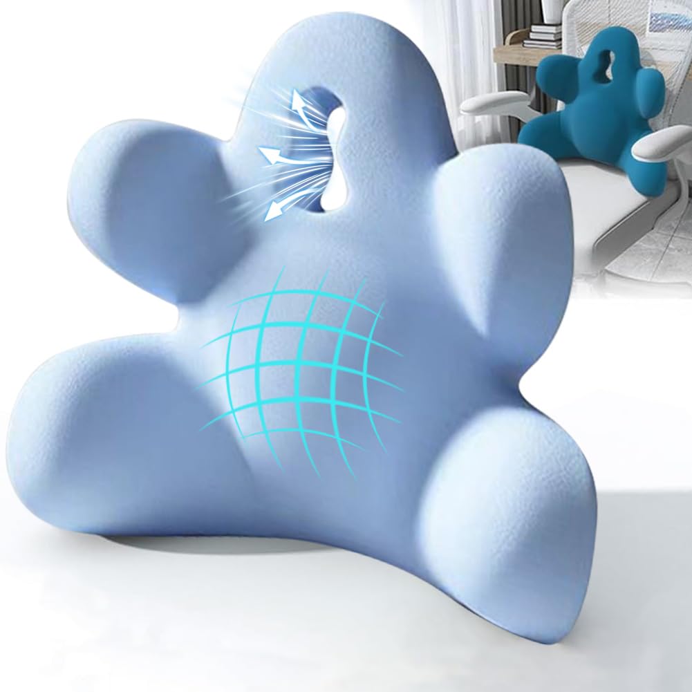 Lumbar Support Pillow for Office Chair, Back Pillow Lumbar Support for Car, Chair, Sofa - Improve Lower Back Pain Relief & Sitting Posture, Memory Foam Back Cushion for Long Sitting (Blue-01)