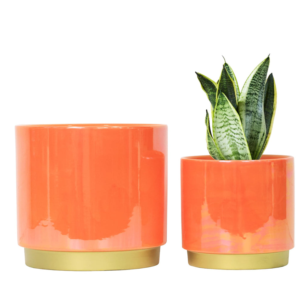 Gepege Ceramic Pots for Plants, Rainbow Pearl Glaze Planter with Drainage Hole, 6.0 inch+5.0 Inch+4.0 Inch. Indoor-Outdoor Large Round Succulent Orchid Flower Pots