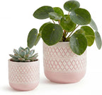 HERDUK Decorative Ceramic Flower Pots Set of 2 – 6 & 4.7 Inch Indoor Plant Pots, Boho Decorative Pots for Plants, Orchid & Succulent Planters with Drainage
