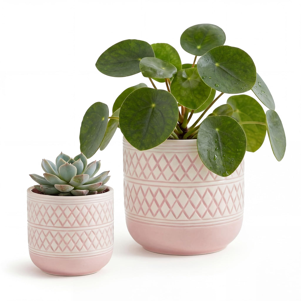 HERDUK Decorative Ceramic Flower Pots Set of 2 – 6 & 4.7 Inch Indoor Plant Pots, Boho Decorative Pots for Plants, Orchid & Succulent Planters with Drainage
