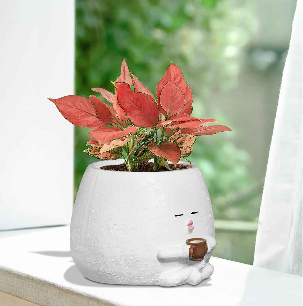 Smily Face Planter Pot with Coffee Cup Cute Resin Flower Head Planters for Indoor Outdoor Unique Sit Succulent Pots with Drainage Hole Gift IdeaI for Mother Christmas (White)