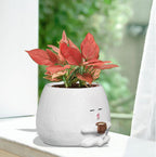 Smily Face Planter Pot with Coffee Cup Cute Resin Flower Head Planters for Indoor Outdoor Unique Sit Succulent Pots with Drainage Hole Gift IdeaI for Mother Christmas (White)