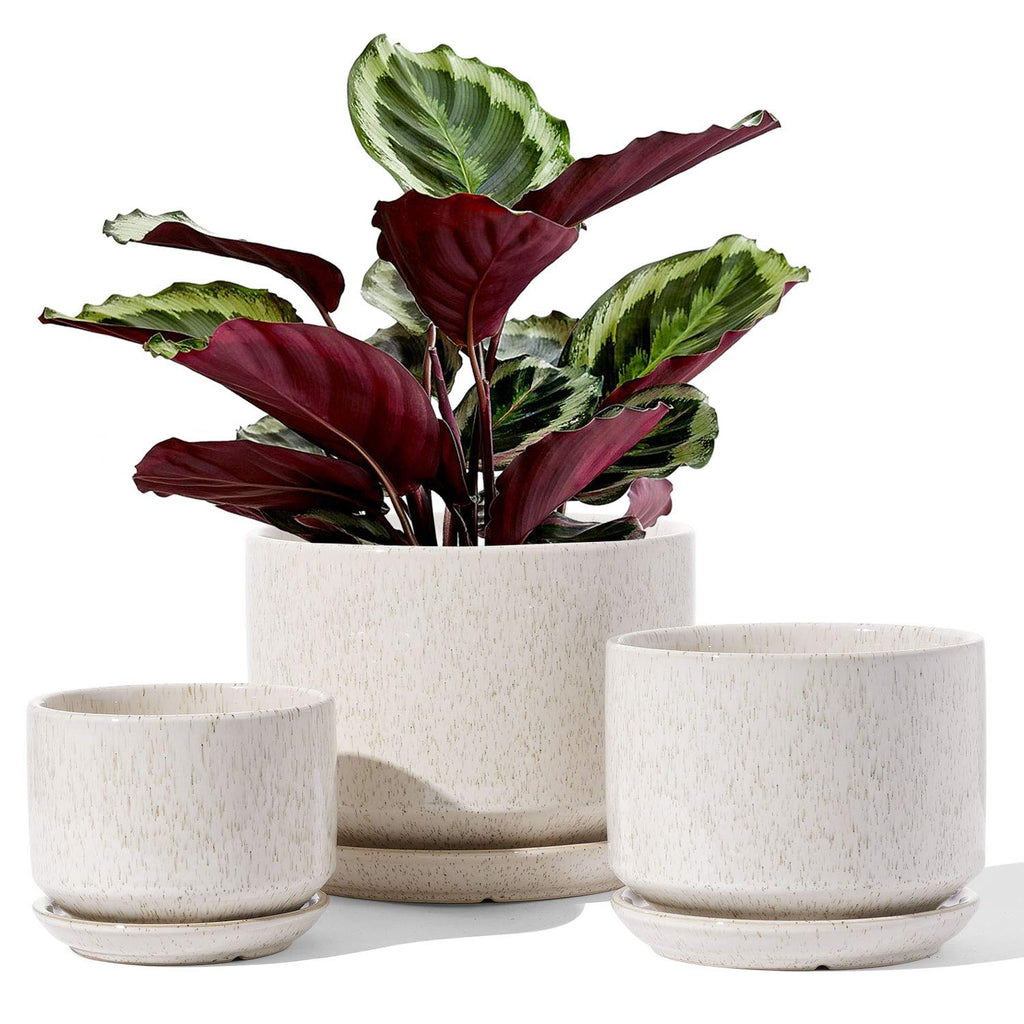 LE TAUCI Ceramic Plant Pots, 4.3+5.3+6.8 inch, Set of 3, Planters with Drainage Hole and Saucer, Indoor Flower Pot with Hole Mesh Pad, Gifts for Mom, Pink
