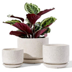 LE TAUCI Ceramic Plant Pots, 4.3+5.3+6.8 inch, Set of 3, Planters with Drainage Hole and Saucer, Indoor Flower Pot with Hole Mesh Pad, Gifts for Mom, Pink