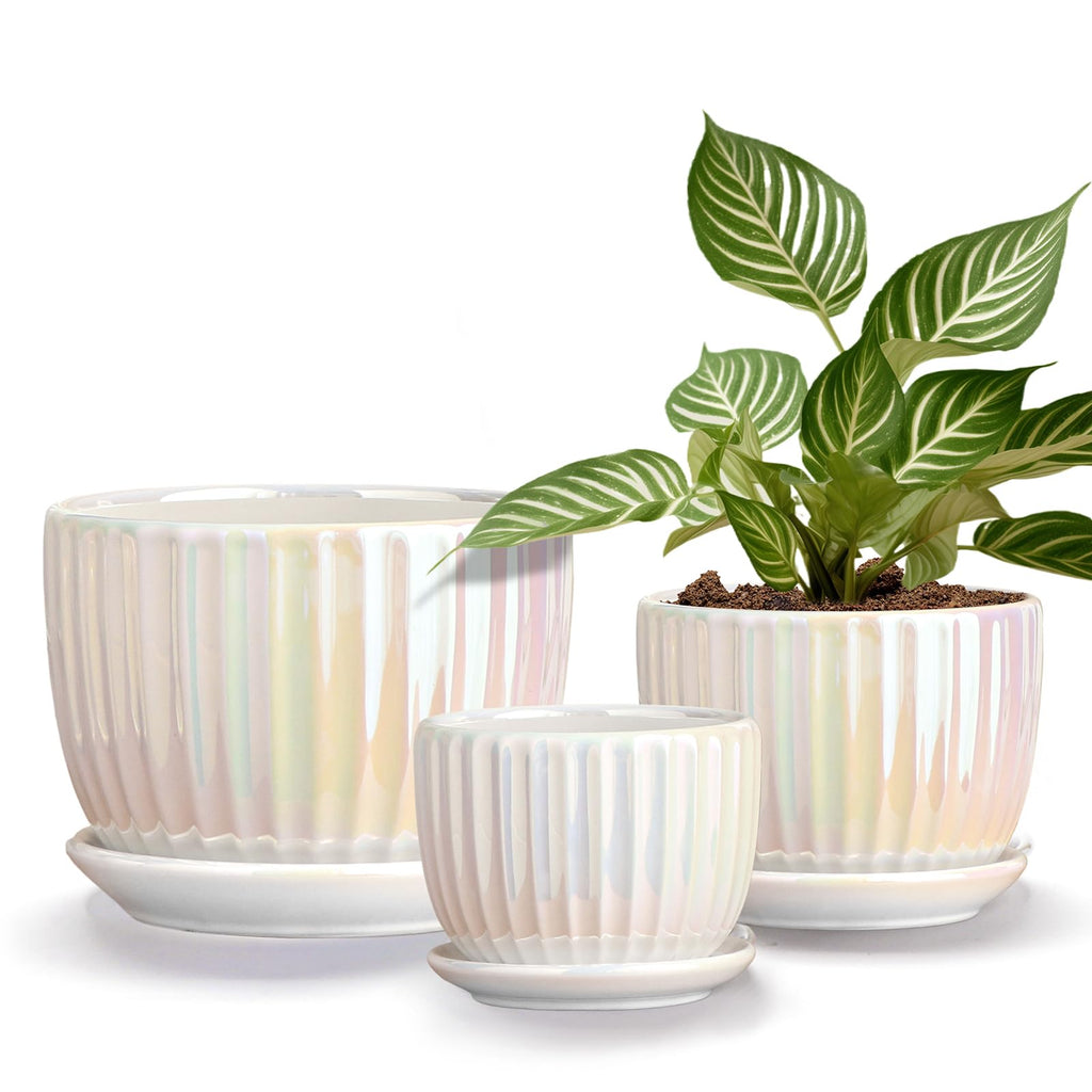 Ton Sin Pink Gold Ceramic Flower Pots, 4"+5"+6" Inch Small Glazed Succulent Planters with Drainage Hole,Modern Indoor Decorative Plant Pots Set of 3,Garden Pots with Saucer