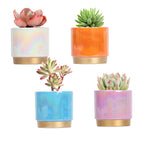 Gepege Ceramic Pots for Plants, Rainbow Pearl Glaze Planter with Drainage Hole, 6.0 inch+5.0 Inch+4.0 Inch. Indoor-Outdoor Large Round Succulent Orchid Flower Pots