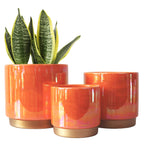 Gepege Ceramic Pots for Plants, Rainbow Pearl Glaze Planter with Drainage Hole, 6.0 inch+5.0 Inch+4.0 Inch. Indoor-Outdoor Large Round Succulent Orchid Flower Pots