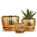 Ton Sin Pink Gold Ceramic Flower Pots, 4"+5"+6" Inch Small Glazed Succulent Planters with Drainage Hole,Modern Indoor Decorative Plant Pots Set of 3,Garden Pots with Saucer