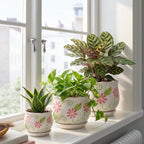 STHIE Pink Ceramic Flower Pots, 4"+5.2"+6.6" Inch Small Flower Pots for Indoor Plant with Drainage Hole,Modern Decorative Plant Pots Set of 3, Indoor Planters with Saucer