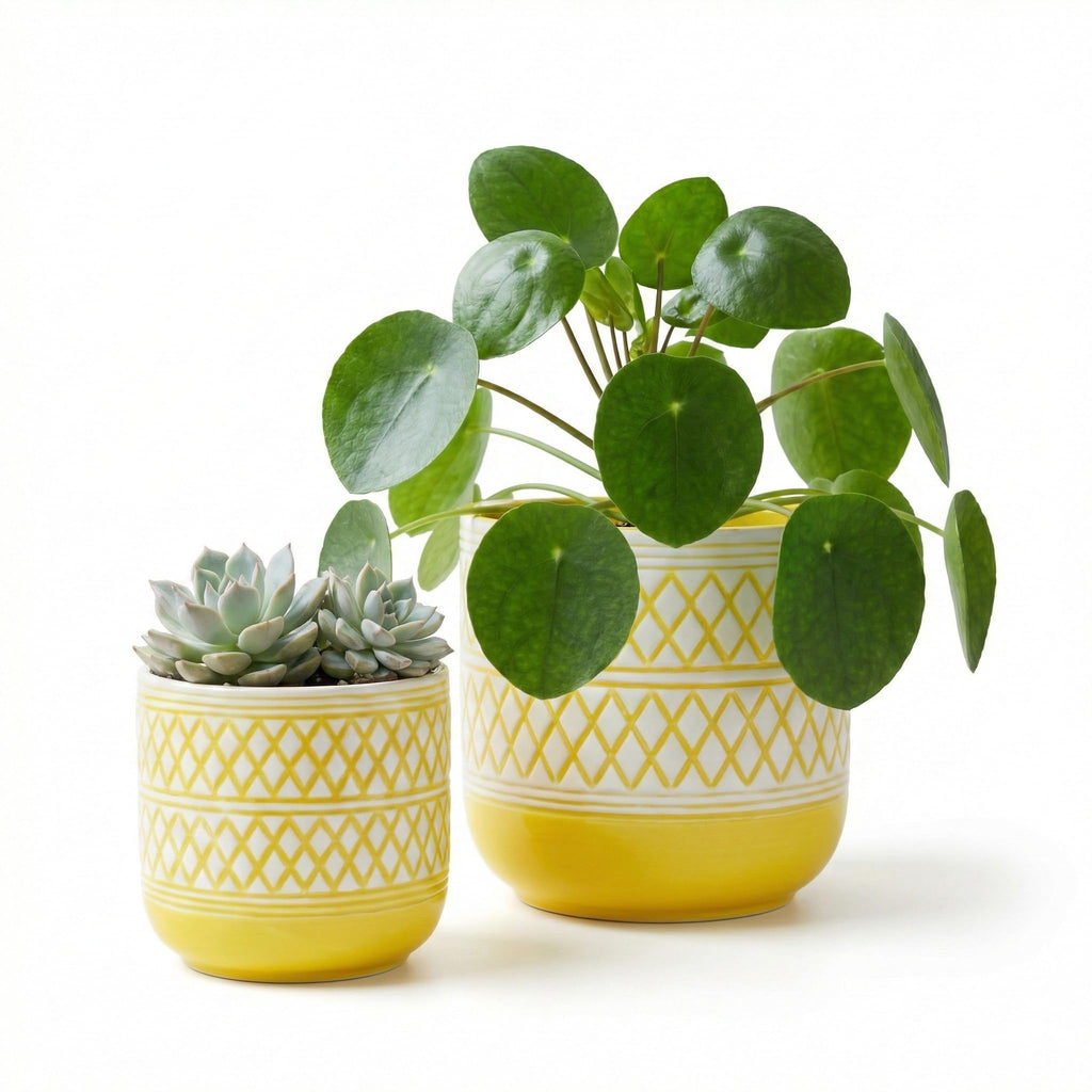 HERDUK Decorative Ceramic Flower Pots Set of 2 – 6 & 4.7 Inch Indoor Plant Pots, Boho Decorative Pots for Plants, Orchid & Succulent Planters with Drainage