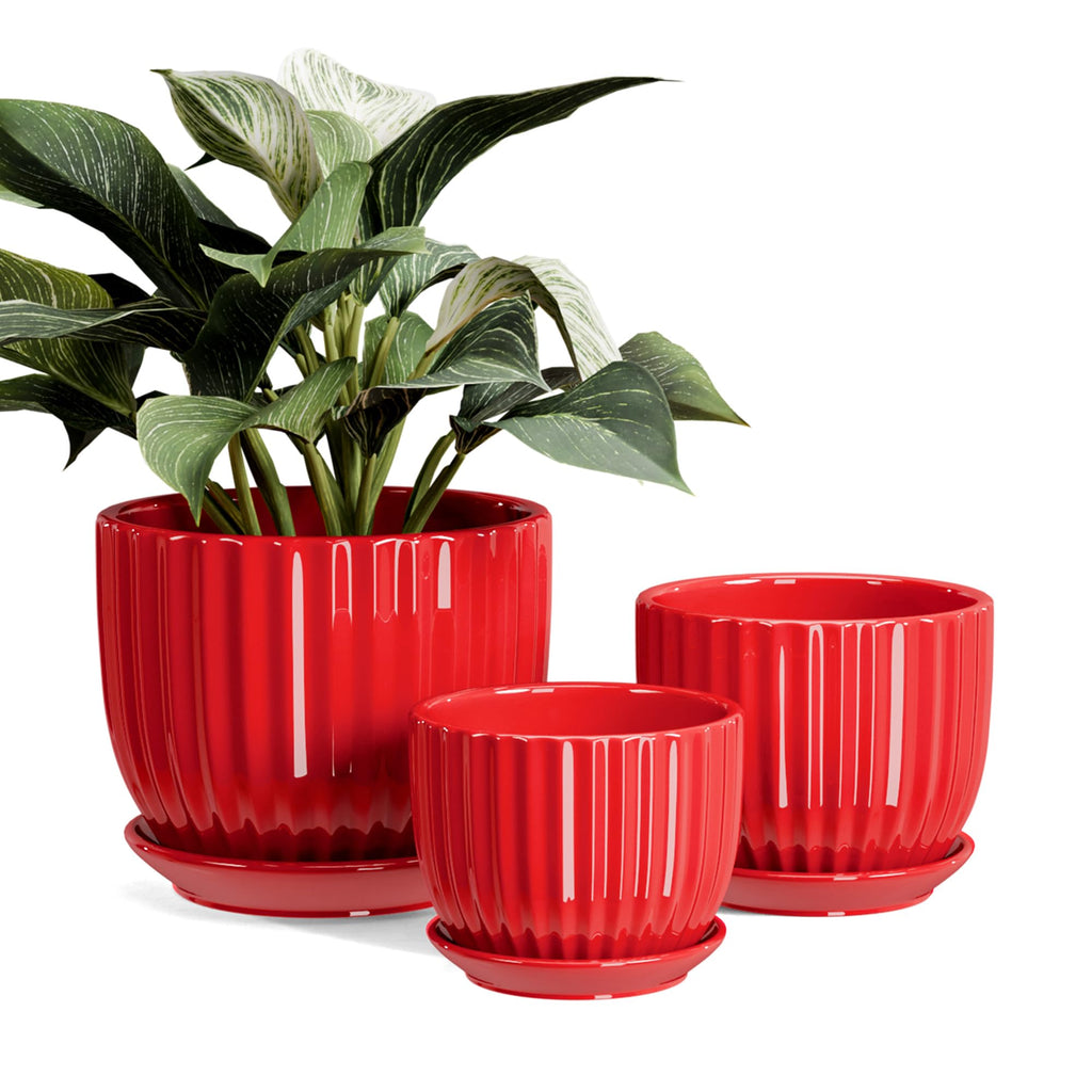 Ton Sin Pink Gold Ceramic Flower Pots, 4"+5"+6" Inch Small Glazed Succulent Planters with Drainage Hole,Modern Indoor Decorative Plant Pots Set of 3,Garden Pots with Saucer