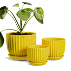 Ton Sin Pink Gold Ceramic Flower Pots, 4"+5"+6" Inch Small Glazed Succulent Planters with Drainage Hole,Modern Indoor Decorative Plant Pots Set of 3,Garden Pots with Saucer