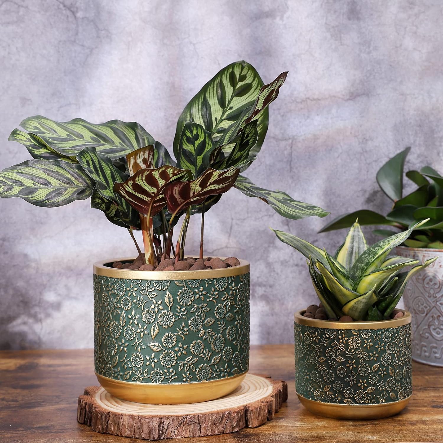 6 +4.4 Inch Cement Planter Decorative Pots with Drainage Hole for All House Plants, Succulents, Flowers, and Cactus (Green)