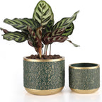 6 +4.4 Inch Cement Planter Decorative Pots with Drainage Hole for All House Plants, Succulents, Flowers, and Cactus (Green)